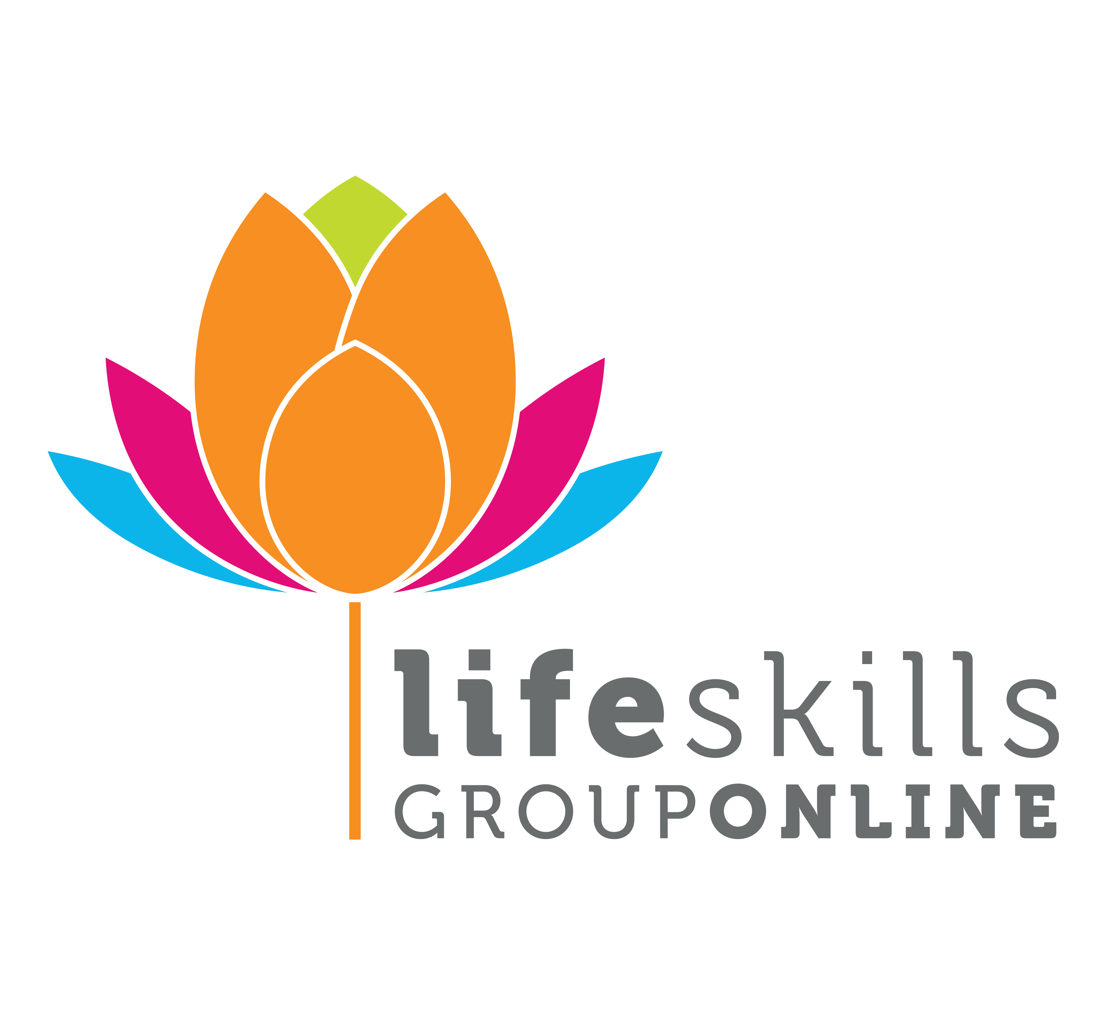 home life skills group